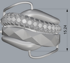 Ring 17