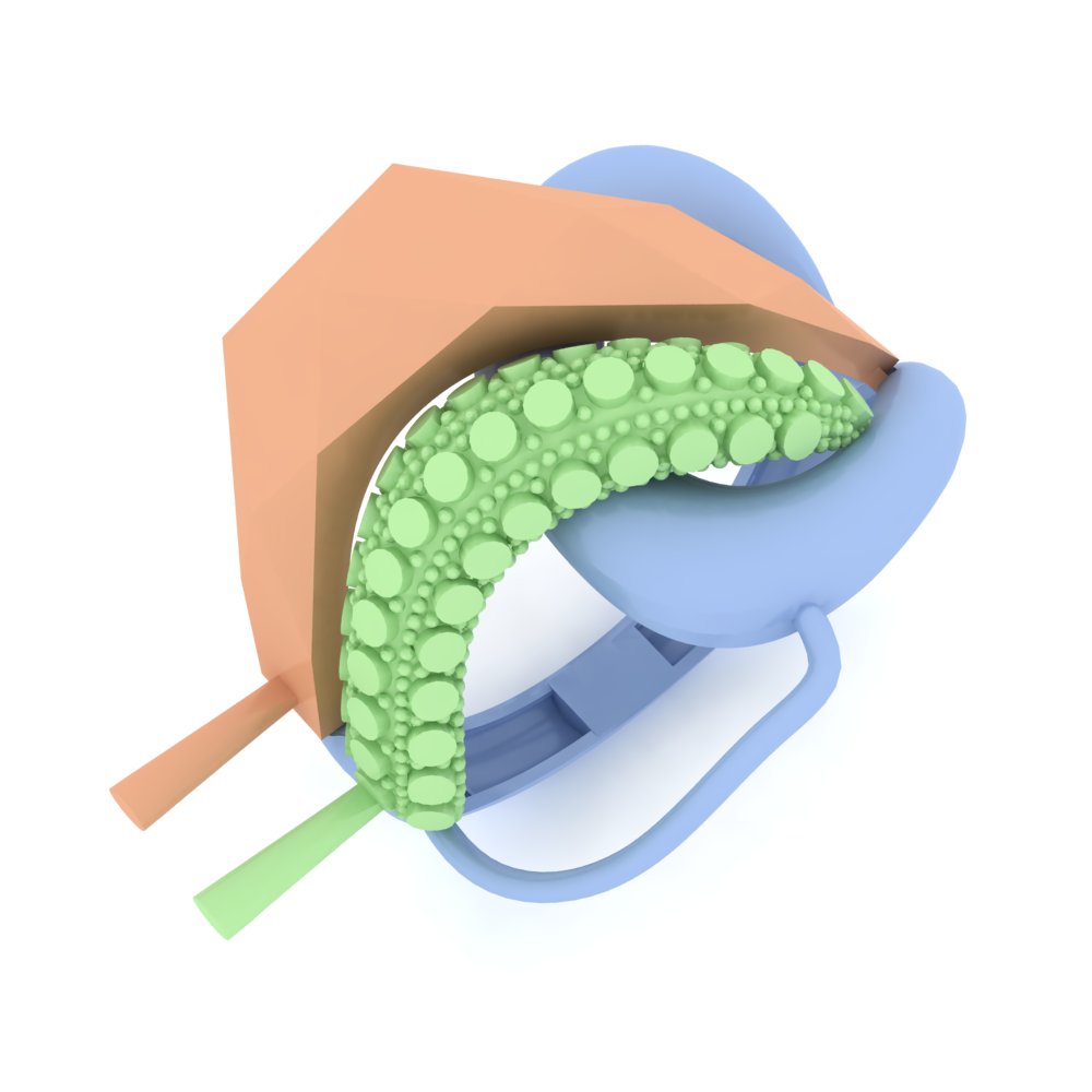 Ring 18