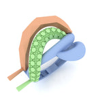 Ring 19