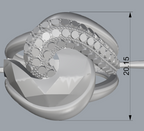 Ring 21