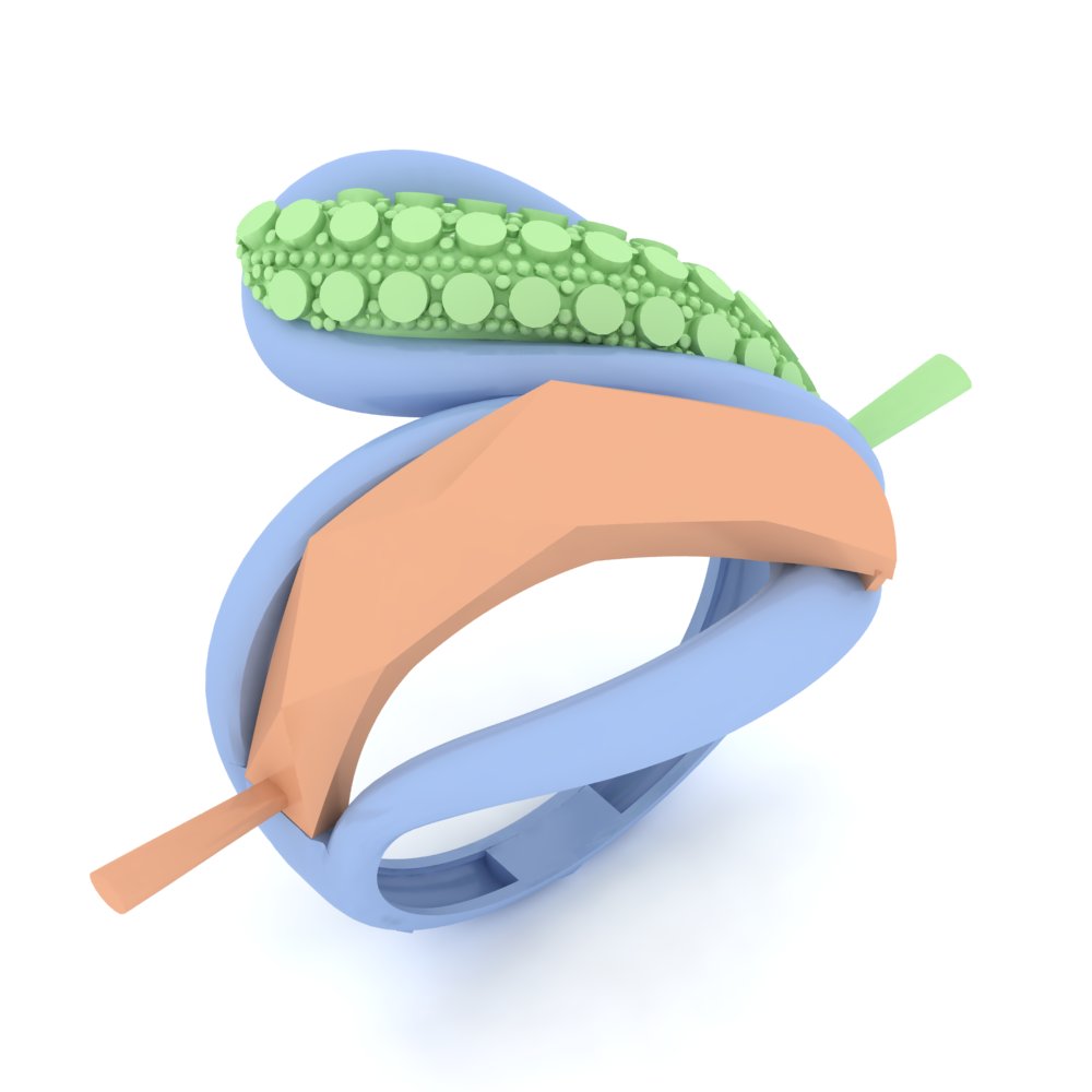 Ring 22