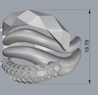 Ring 25