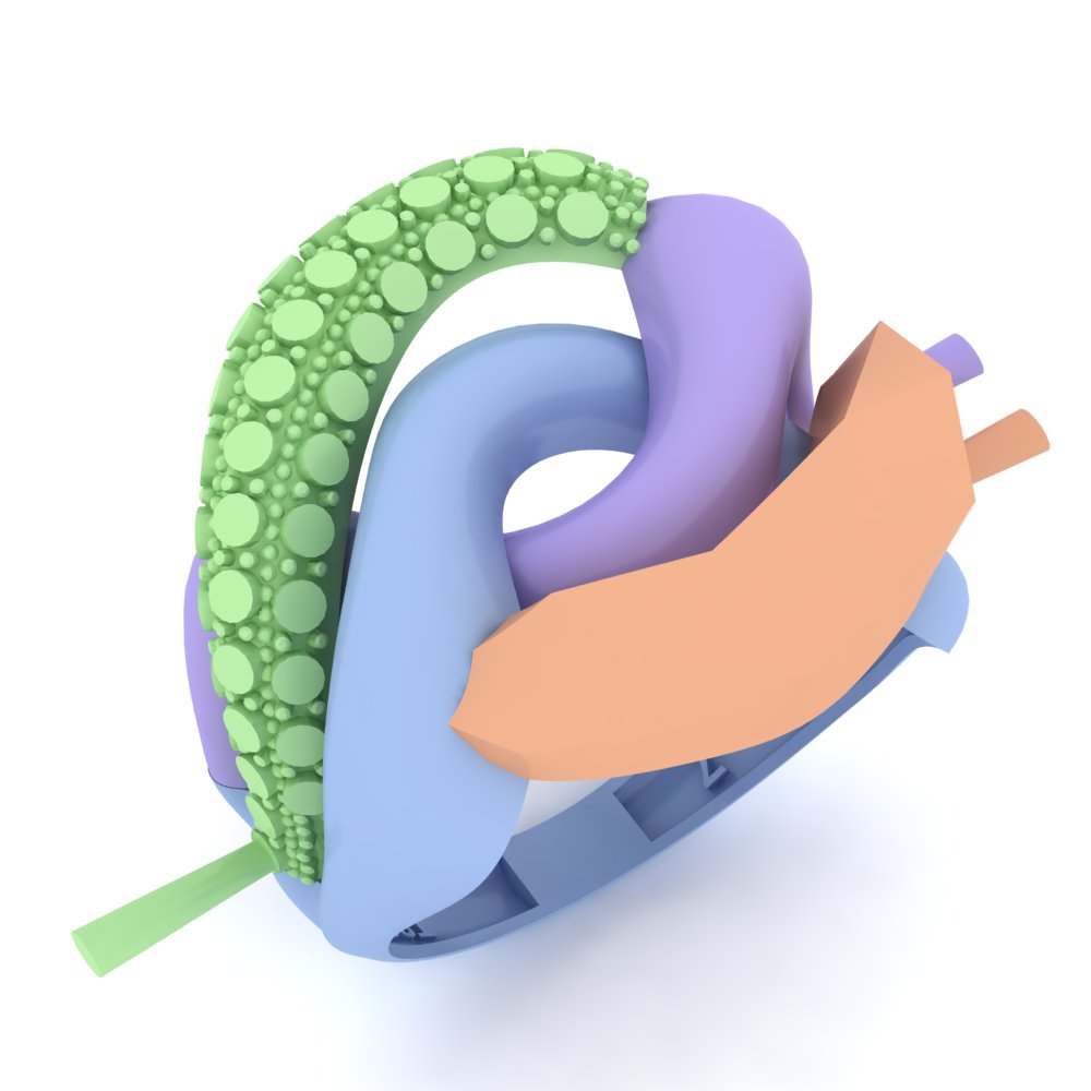 Ring 26