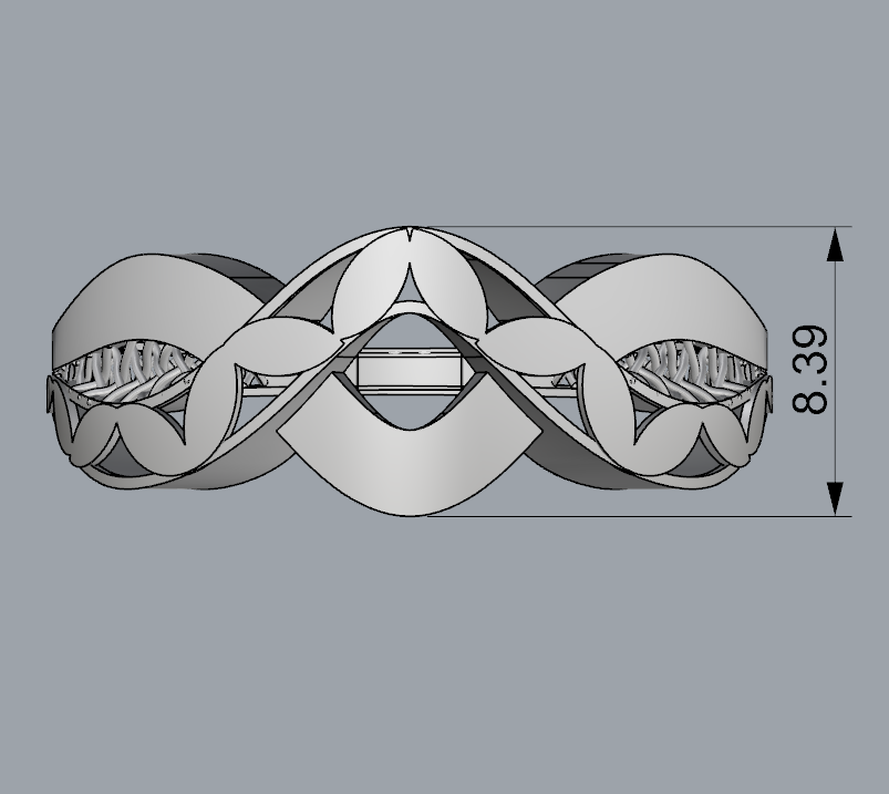 Ring 28