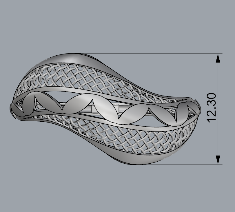 Ring 29